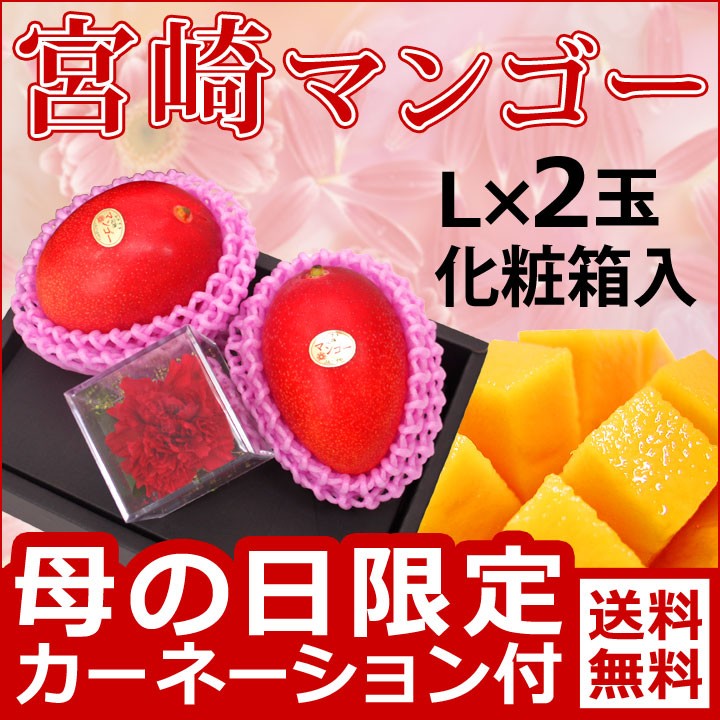 母の日宮崎マンゴー2玉化粧箱
