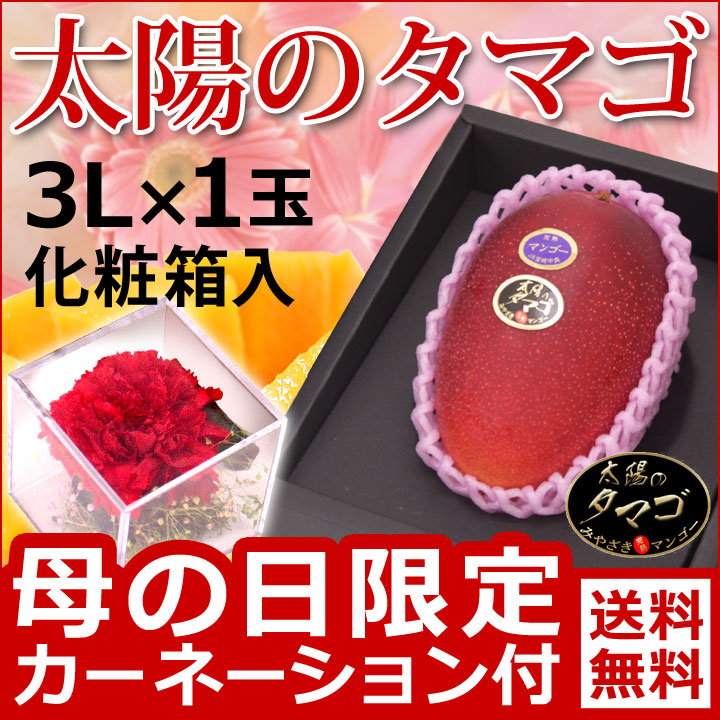 母の日宮崎マンゴー太陽のタマゴ1玉化粧箱