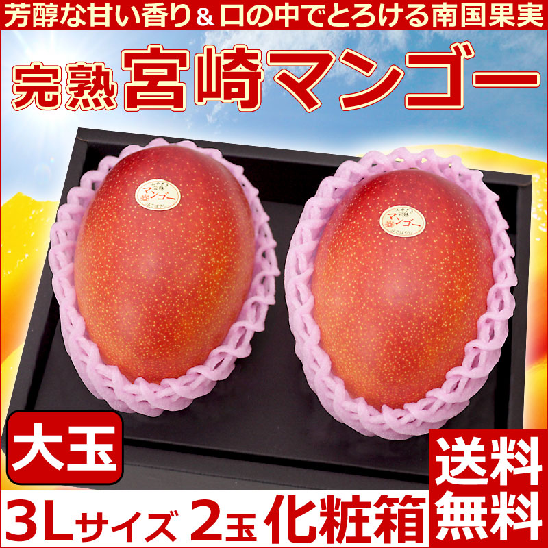 絶品宮崎完熟マンゴー 3L大玉 2個 ギフト お祝い 贈答用 - 果物