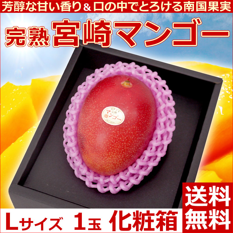 宮崎県産完熟マンゴーLサイズ6玉1.9kg以上クール便
