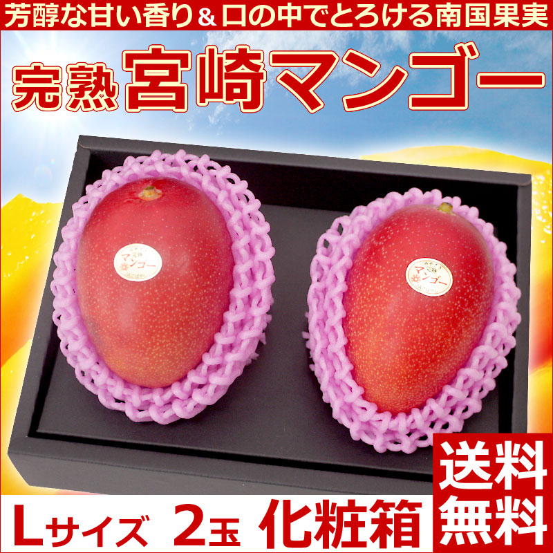宮崎県産完熟マンゴーLサイズ2玉