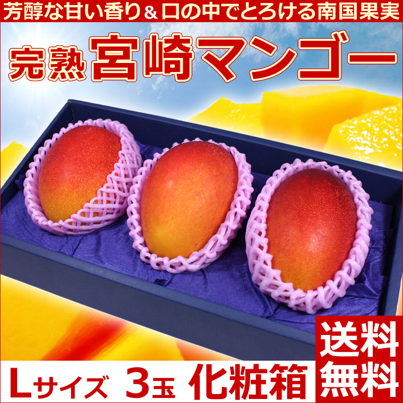 宮崎県産完熟マンゴーLサイズ6玉1.9kg以上 有名な - 果物