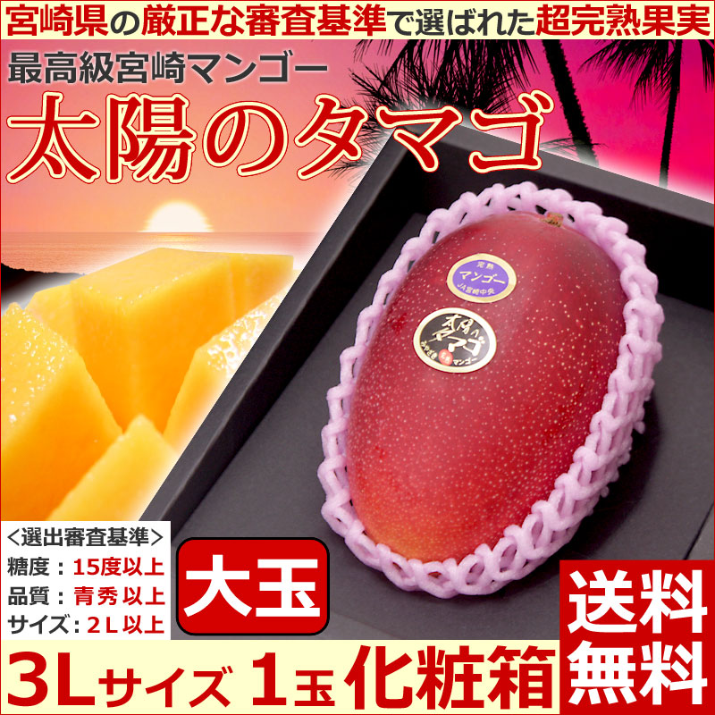 宮崎マンゴー 太陽のタマゴ 大玉3Lサイズ1玉化粧箱】 | ギフトパーク