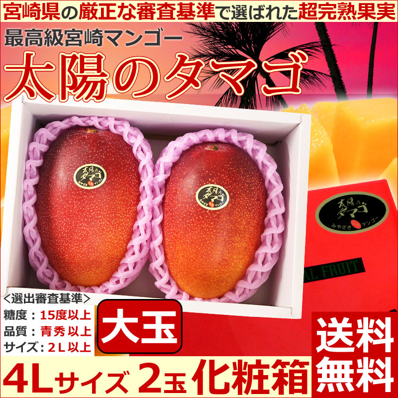 【宮崎マンゴー 太陽のタマゴ 超大玉4Lサイズ2玉化粧箱】