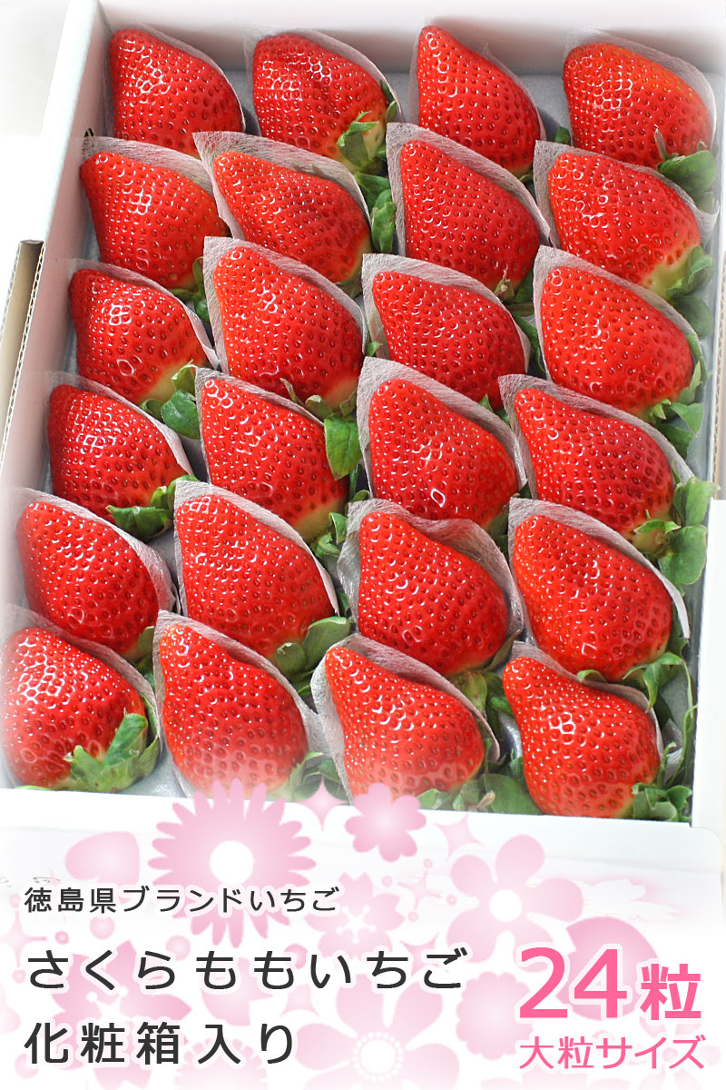 さくらももいちご 24粒 化粧箱入り 大粒サイズ 徳島県産 | ギフトパーク