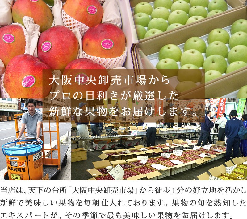 大阪中央卸売市場から新鮮で美味しい果物を全国発送