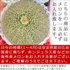 台座付き お供え用 果物盛り籠【金】