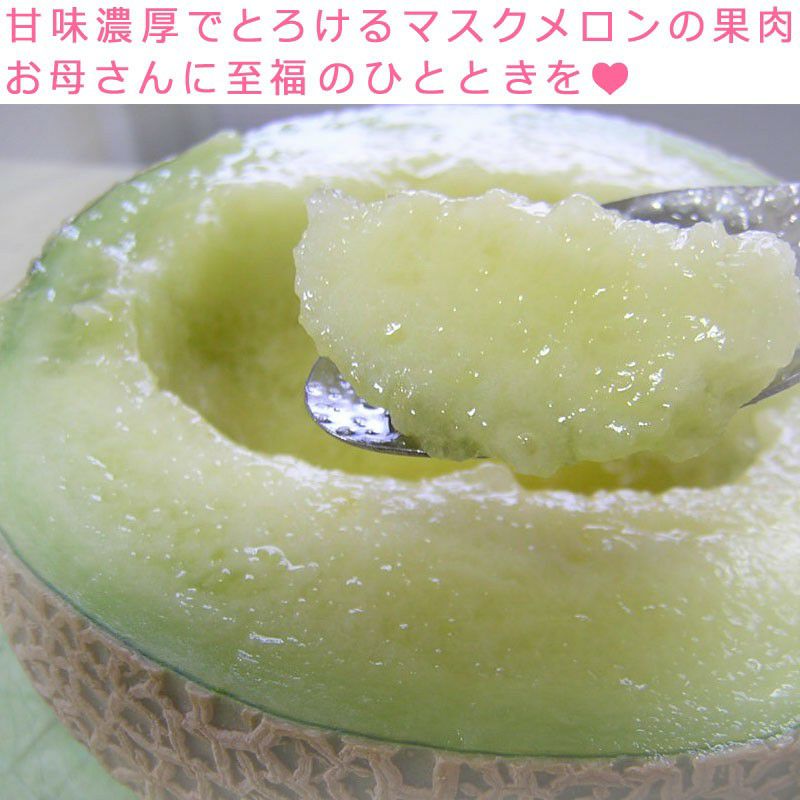 静岡マスクメロン　1玉化粧箱　母の日限定カーネーション【プリザーブドフラワー】付き 