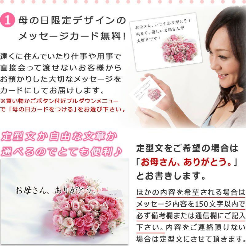 静岡マスクメロン 2玉化粧箱　母の日カーネーション付き