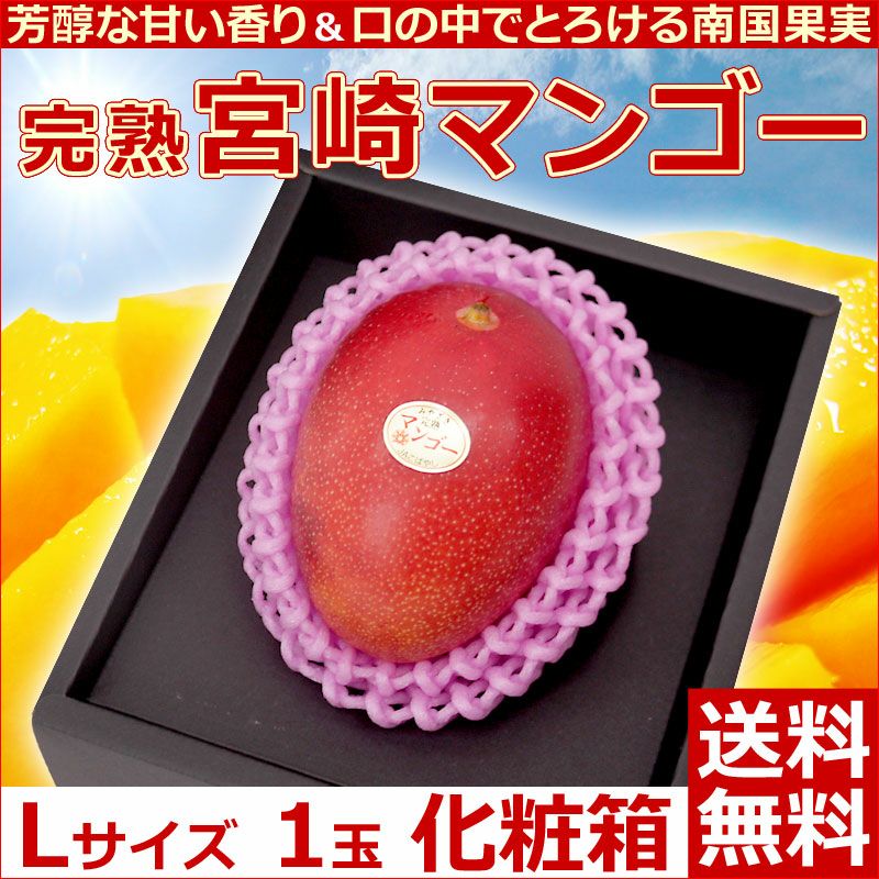 宮崎県産完熟マンゴーLサイズ6玉1.9kg以上 - 果物