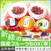 国産フルーツBOX【幸】