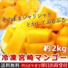冷凍宮崎カットマンゴー